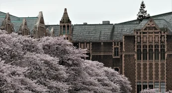 Youは何しに大学院へ？