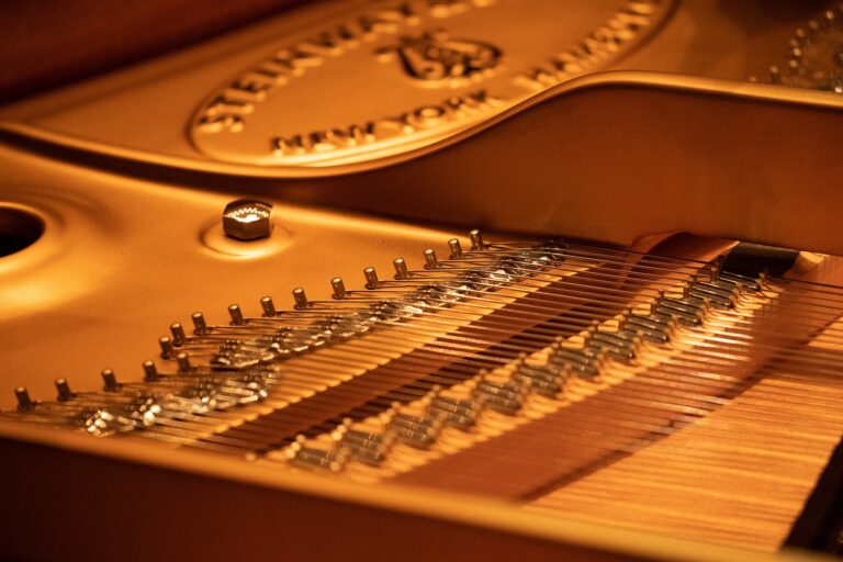 出さない勇気を持つ（左手について）